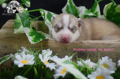 TODAY HOPE IS BORN